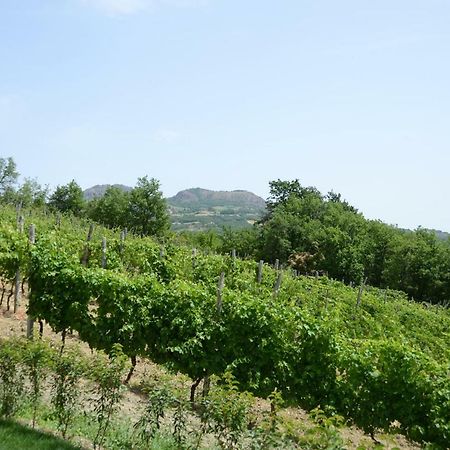 Agriturismo Ca' Del Sartu Боббио Экстерьер фото